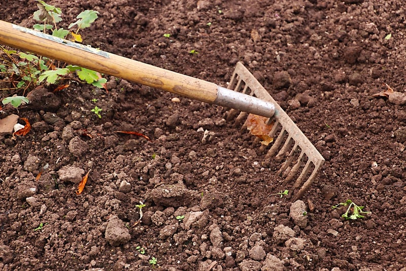 Spring Gardening