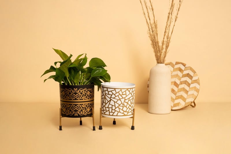 Windowsill Garden